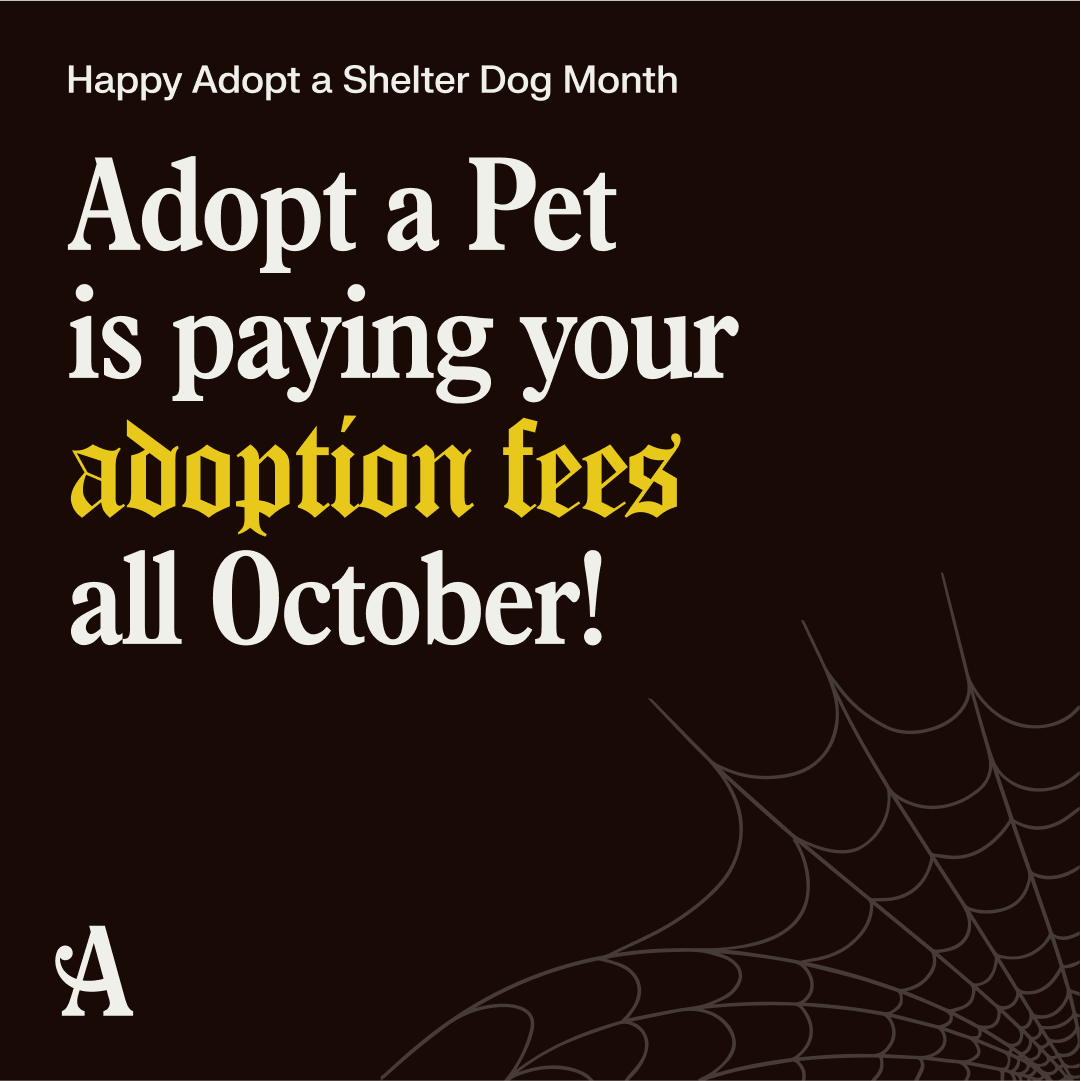 Adopt a Pet Partners with Austin Animal Center To Waive Pet Adoption